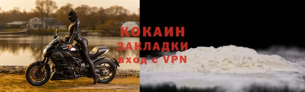 твердый Арсеньев