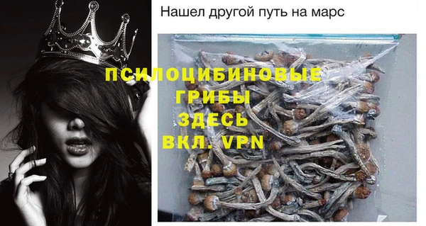 МДПВ Алексин