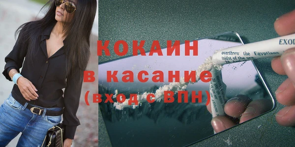 твердый Арсеньев