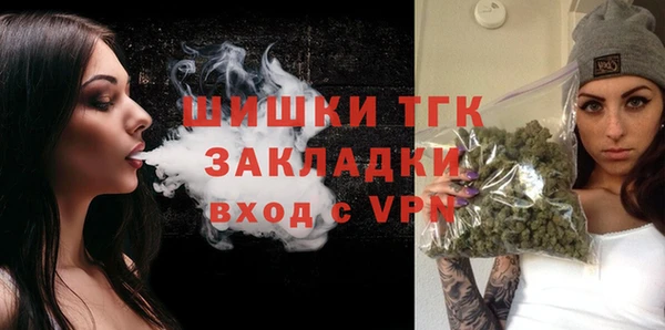 твердый Арсеньев