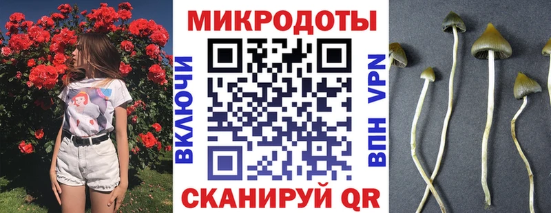 Купить закладки  Бакал  Галлюциногенные грибы Psilocybe 